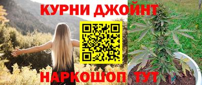 МДПВ Кингисепп
