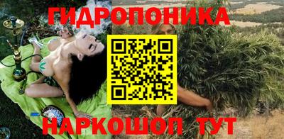 МДПВ Кингисепп